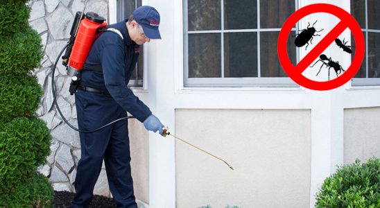 Gökdere Böcek İlaçlama böcek ilaçlama ve haşere kontrolü — ilaclama-tr.com